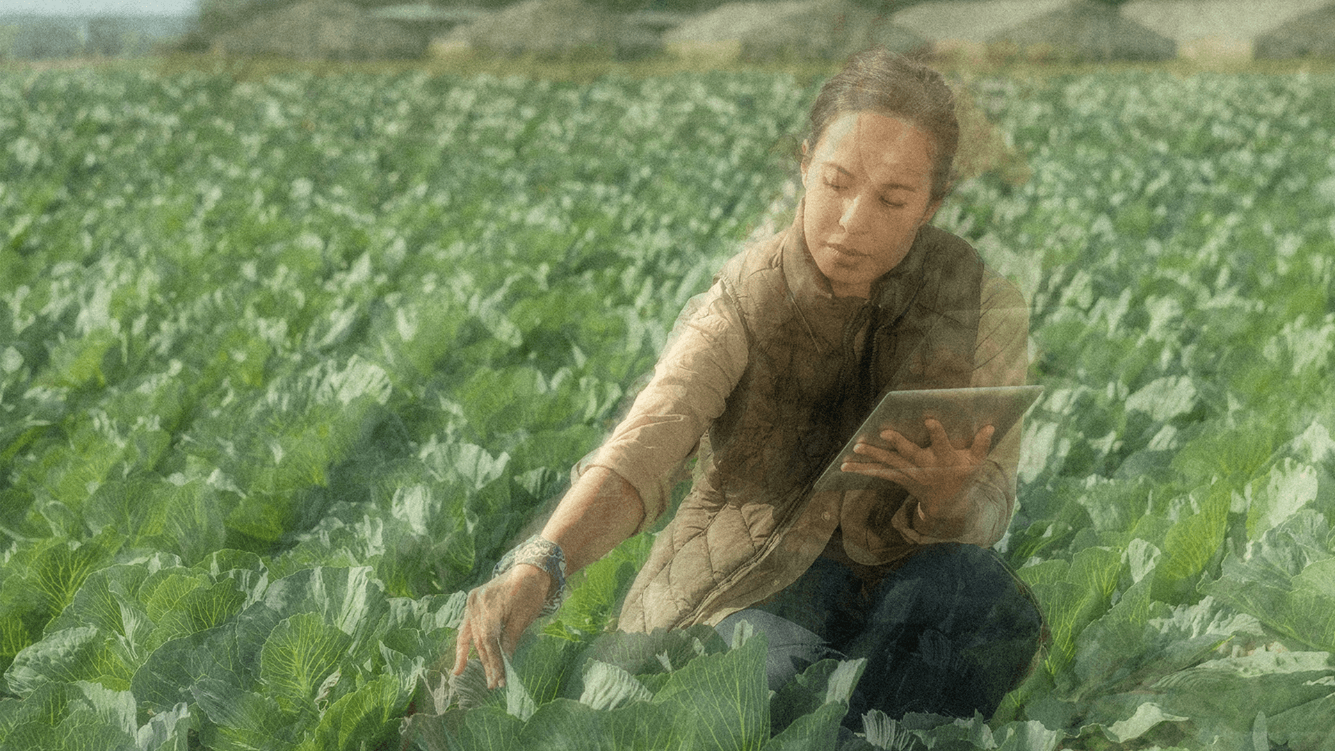 How to get started with SD-WAN